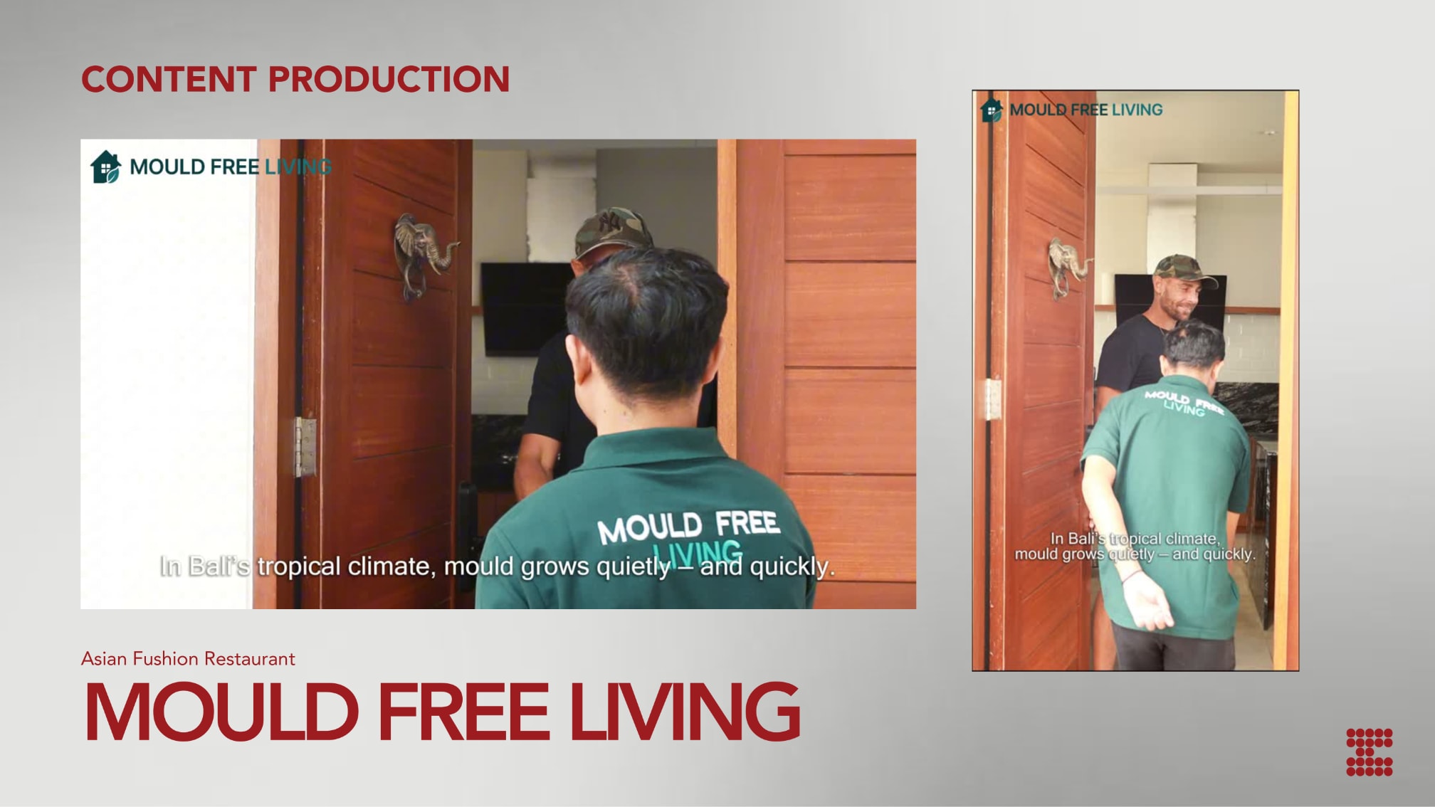 Mould Free Living